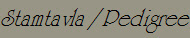 Stamtavla / Pedigree